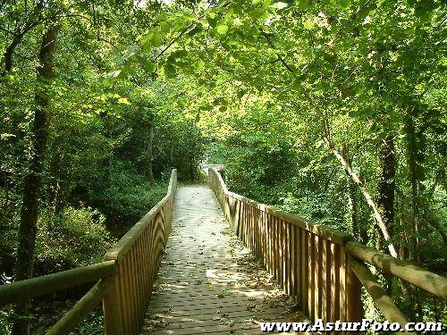 covadonga,casas de aldea rurales,casa rural ,casas de aldea,rurales,casa rural cangas de onis